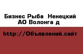 Бизнес Рыба. Ненецкий АО,Волонга д.